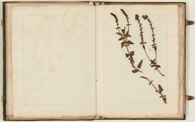 OM3154 (Paris, Carnavalet), I, 3, 1